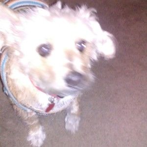 Meet your Posher, Becky